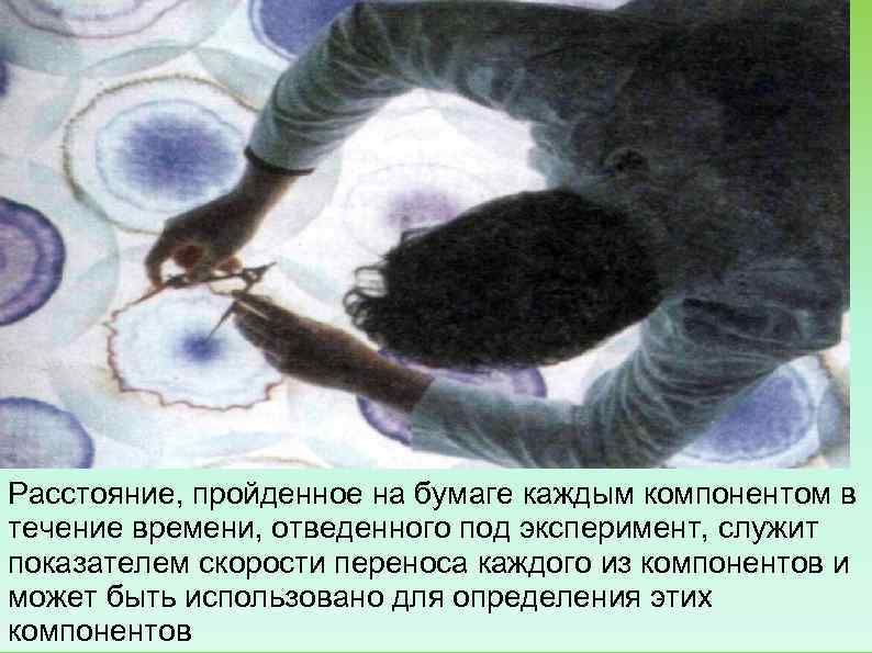 Расстояние, пройденное на бумаге каждым компонентом в течение времени, отведенного под эксперимент, служит показателем