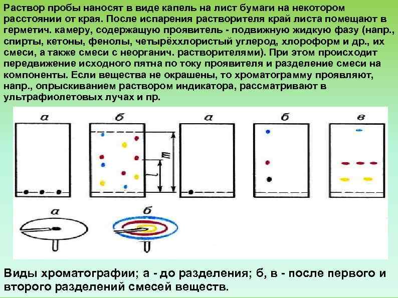 На хроматографическую пластинку образцы наносят