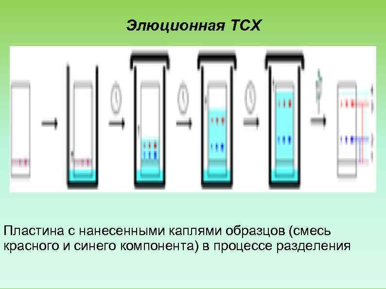    Элюционная ТСХ Пластина с нанесенными каплями образцов (смесь красного и синего