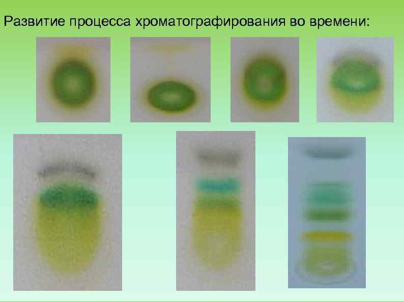 Развитие процесса хроматографирования во времени: 