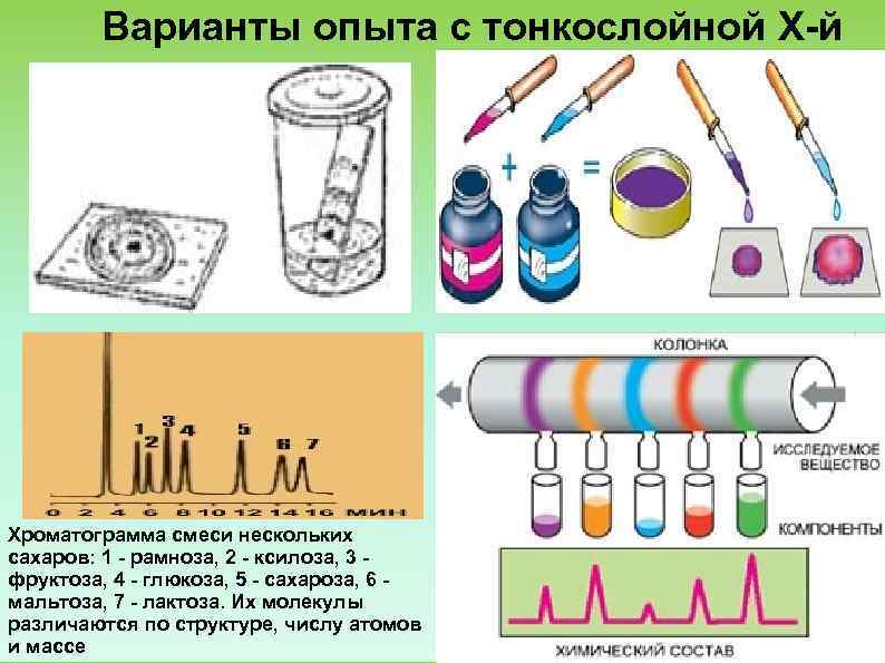   Варианты опыта с тонкослойной Х й Хроматограмма смеси нескольких сахаров: 1 