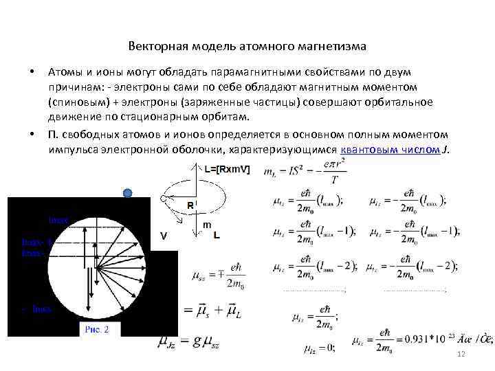    Векторная модель атомного магнетизма •  Атомы и ионы могут обладать