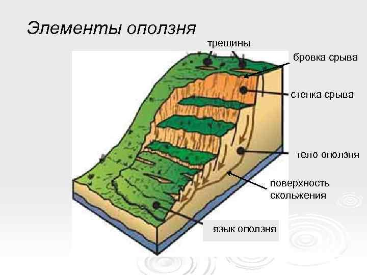 Элементы оползня    трещины      бровка срыва 
