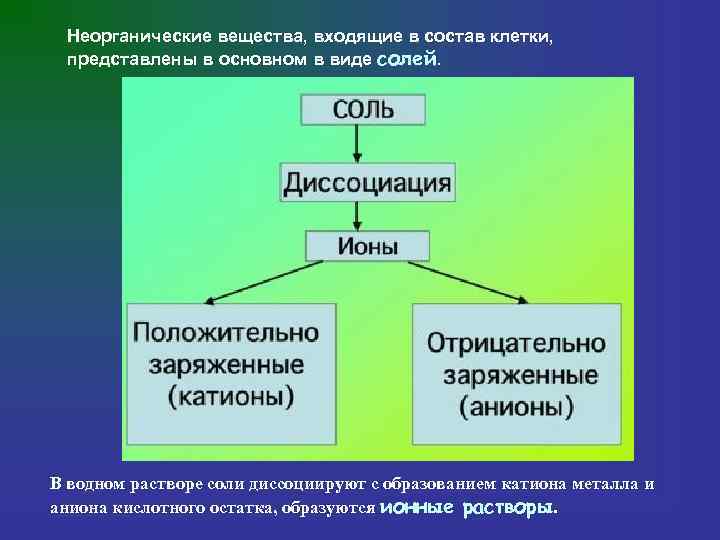  Неорганические вещества, входящие в состав клетки,  представлены в основном в виде солей.
