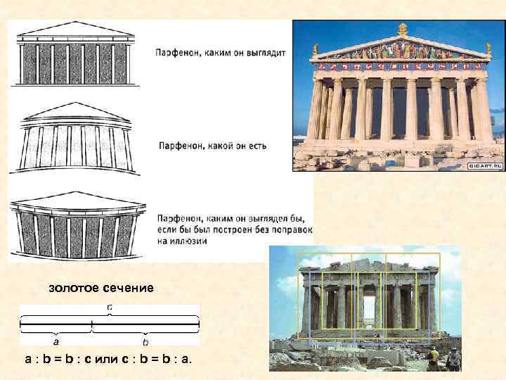   золотое сечение a : b = b : c или с :