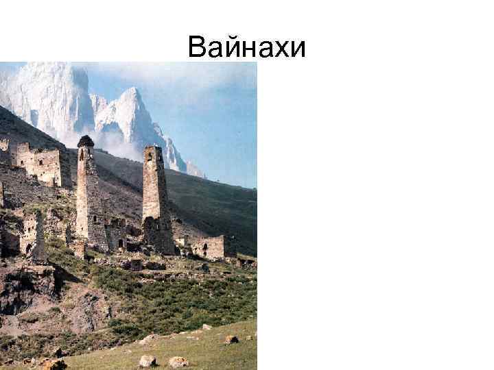 Вайнахи Вайнахи