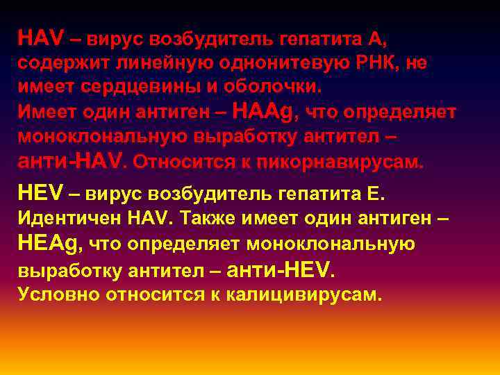 HAV – вирус возбудитель гепатита А, содержит линейную однонитевую РНК, не имеет сердцевины и