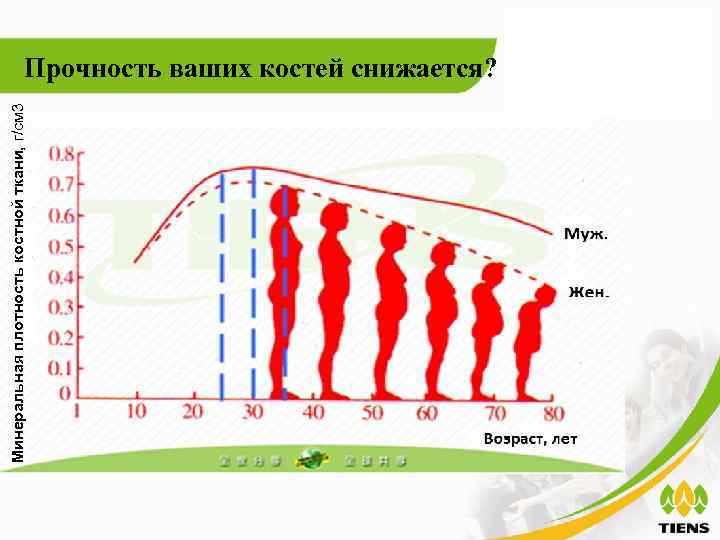 Минеральная плотность костной ткани, г/см 3    Прочность ваших костей снижается? 