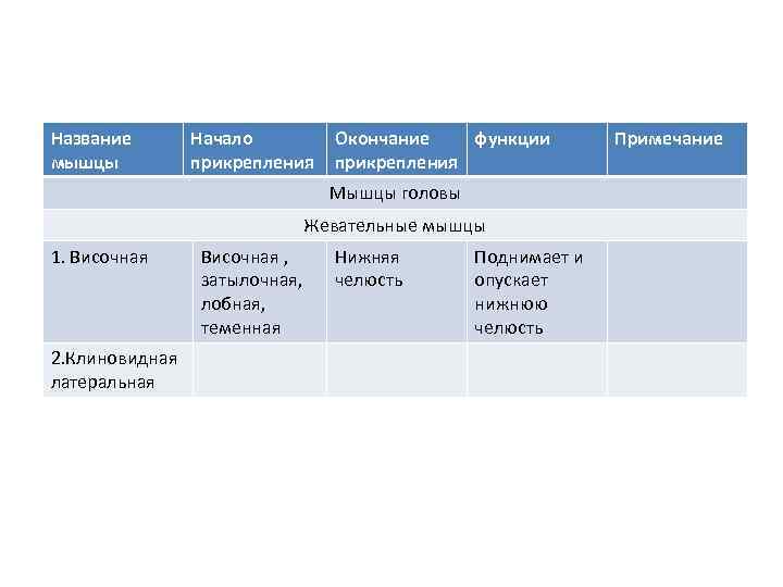 Название   Начало   Окончание  функции   Примечание мышцы 