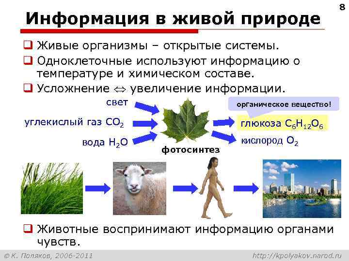        8 Информация в живой природе q Живые