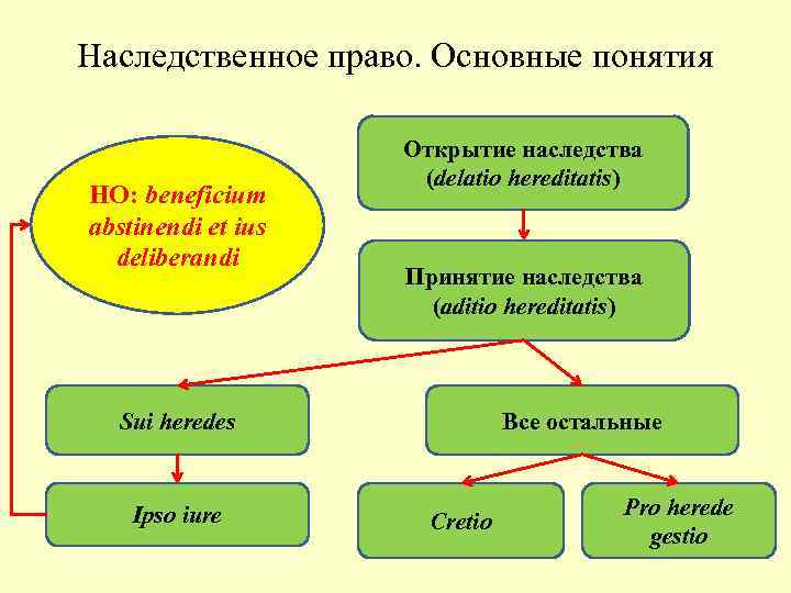 Наследственное право. Основные понятия     Открытие наследства    