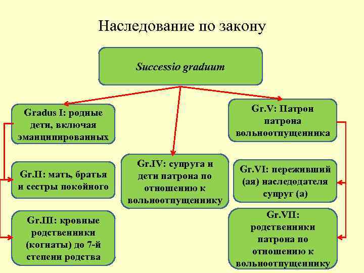     Наследование по закону     Successio graduum Gradus