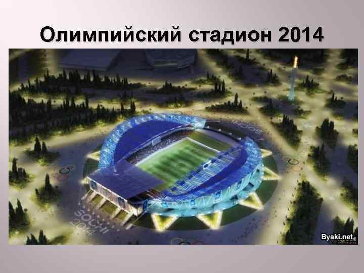 Олимпийский стадион 2014 