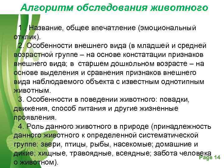  Алгоритм обследования животного 1. Название, общее впечатление (эмоциональный отклик).  2. Особенности внешнего