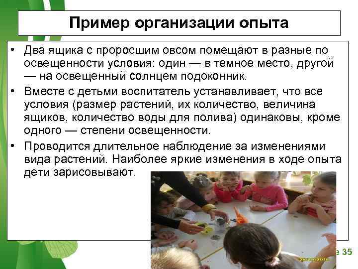    Пример организации опыта • Два ящика с проросшим овсом помещают в