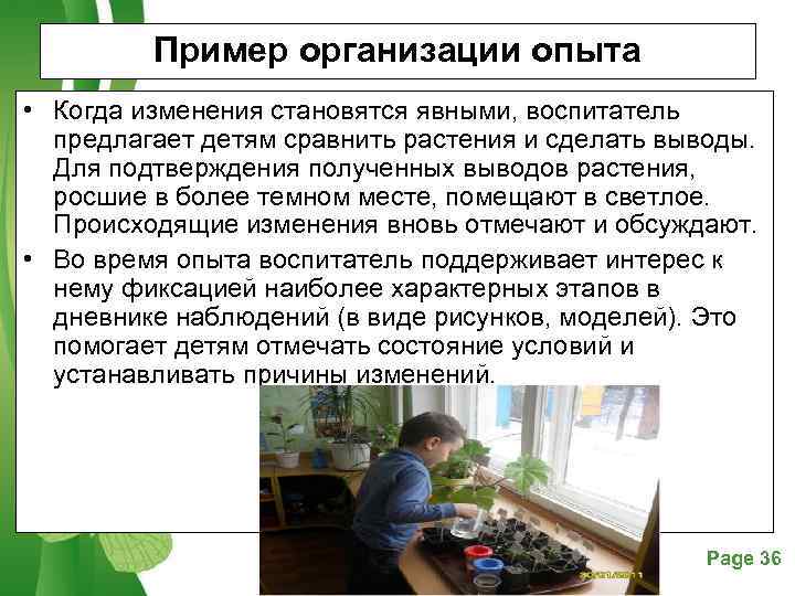    Пример организации опыта • Когда изменения становятся явными, воспитатель  предлагает