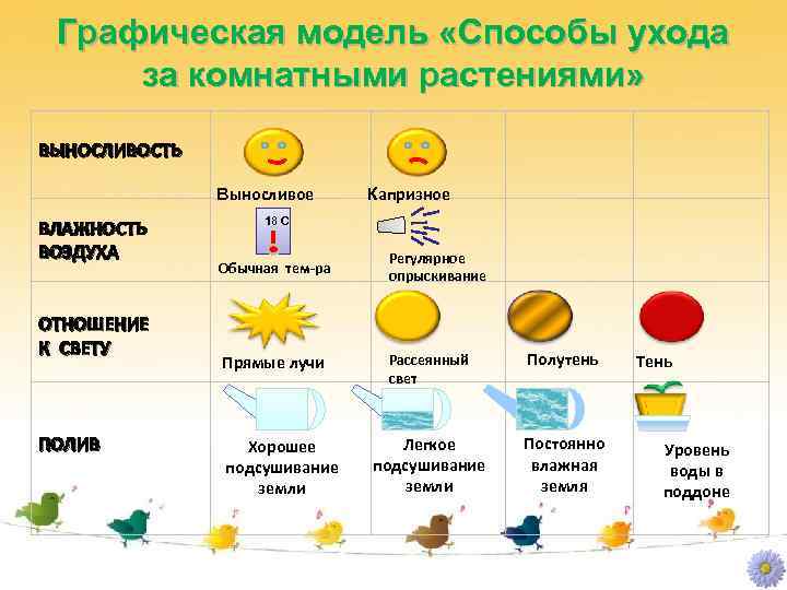  Графическая модель «Способы ухода  за комнатными растениями»  ВЫНОСЛИВОСТЬ   Выносливое