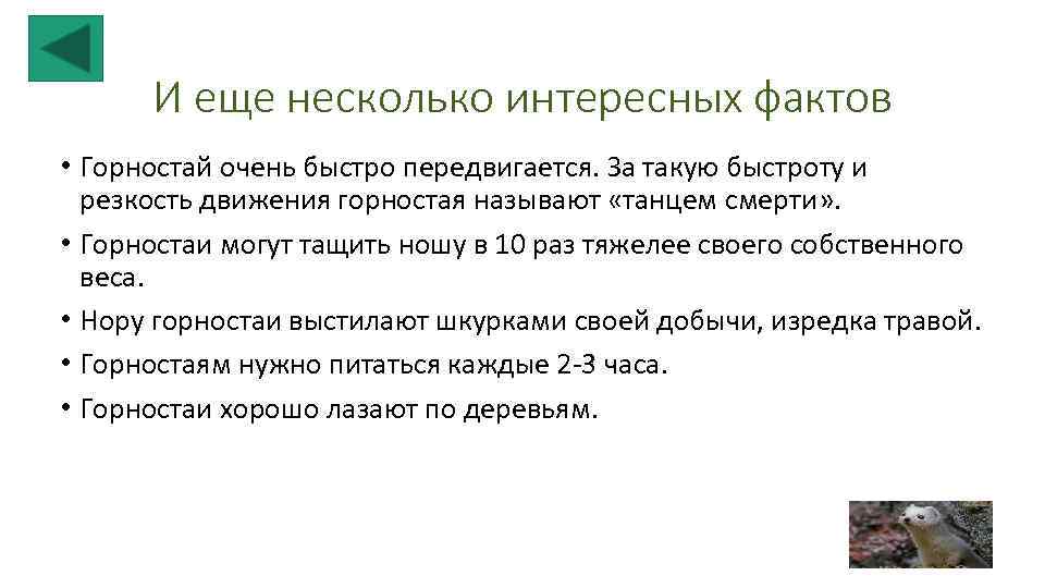  И еще несколько интересных фактов • Горностай очень быстро передвигается. За такую быстроту