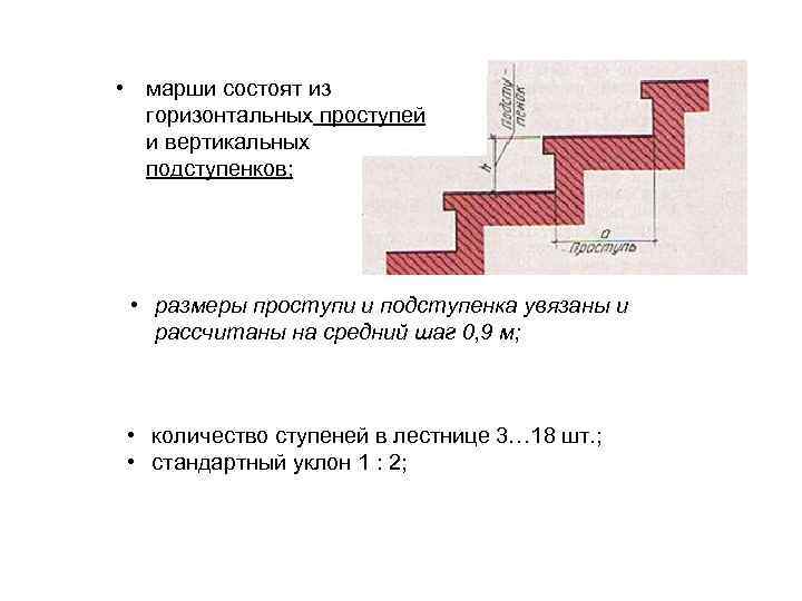  • марши состоят из  горизонтальных проступей  и вертикальных  подступенков; 