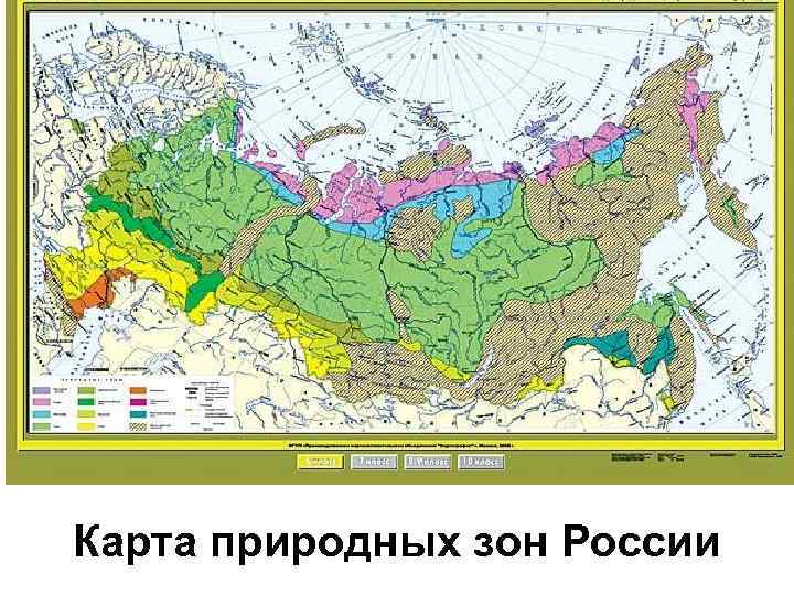  Карта природных зон России 