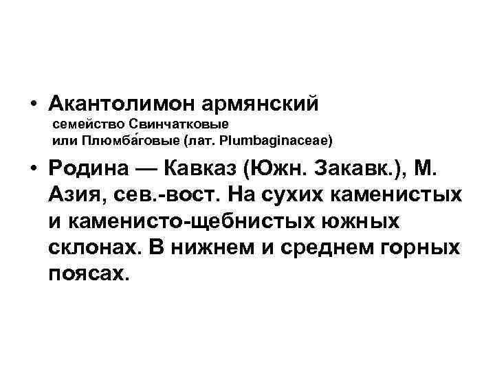  • Акантолимон армянский  семейство Свинчатковые  или Плюмба говые (лат. Plumbaginaceae) 