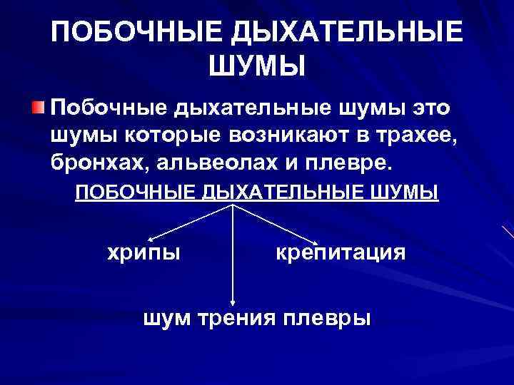 Дыхательные шумы. Побочные дыхательные шумы. Побочные дыхательные шумы пропедевтика. Побочный дыхательный шум возникающий в альвеолах. Дыхательные шумы кошек.