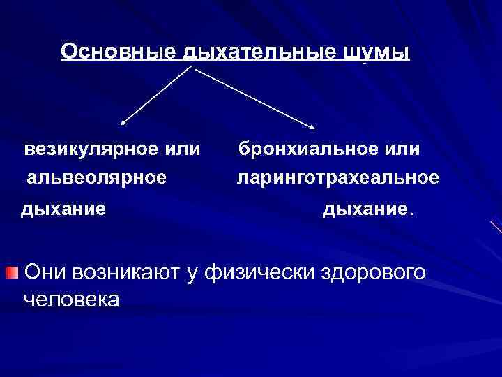 Дыхательные шумы. Основные дыхательные шумы везикулярное. Основные дыхательные шумы пропедевтика. Дополнительные дыхательные шумы пропедевтика. Основные дыхательные шумы пропедевтика внутренних болезней.