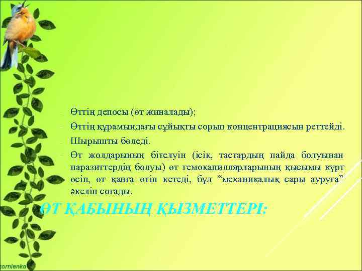  - Өттің депосы (өт жиналады);  - Өттің құрамындағы сұйықты сорып концентрациясын реттейді.