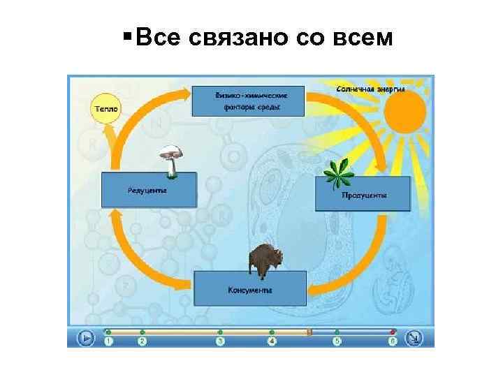 § Все связано со всем 