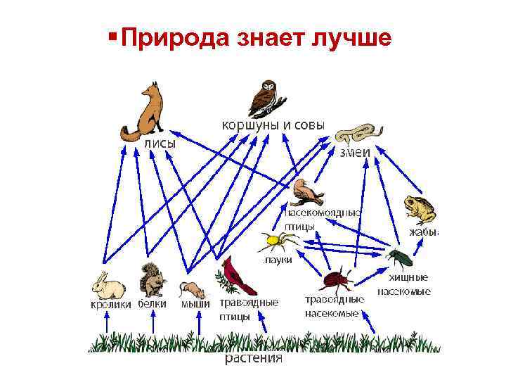 § Природа знает лучше 