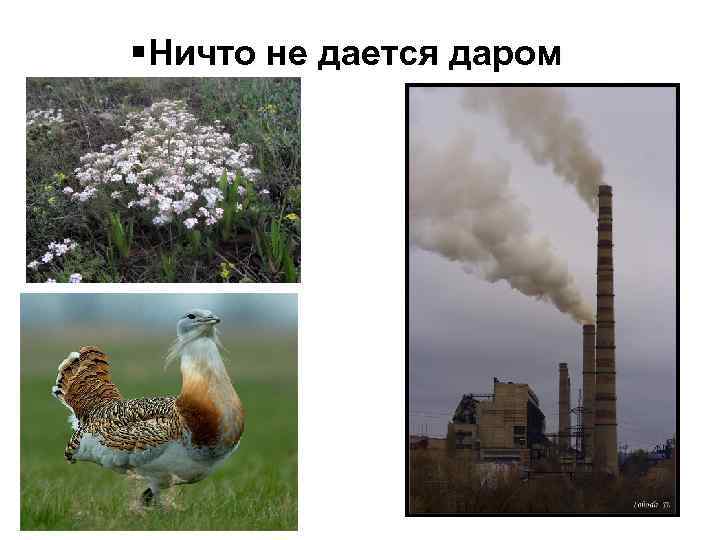 § Ничто не дается даром 