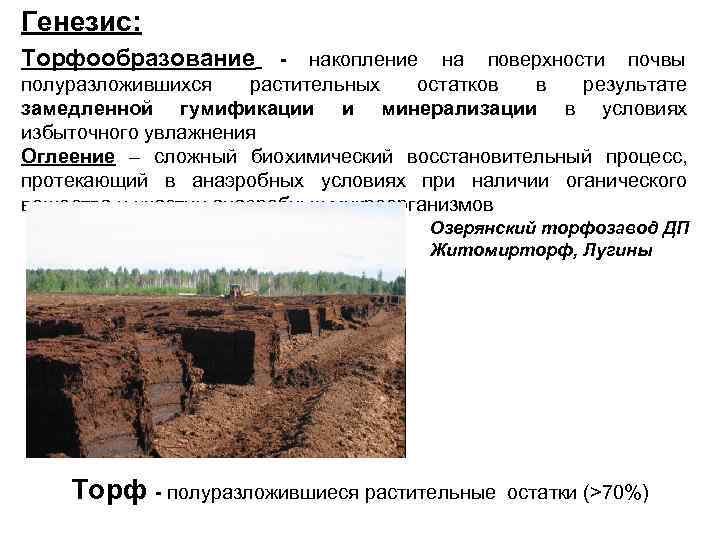 Генезис: Торфообразование   - накопление на поверхности почвы полуразложившихся растительных  остатков в