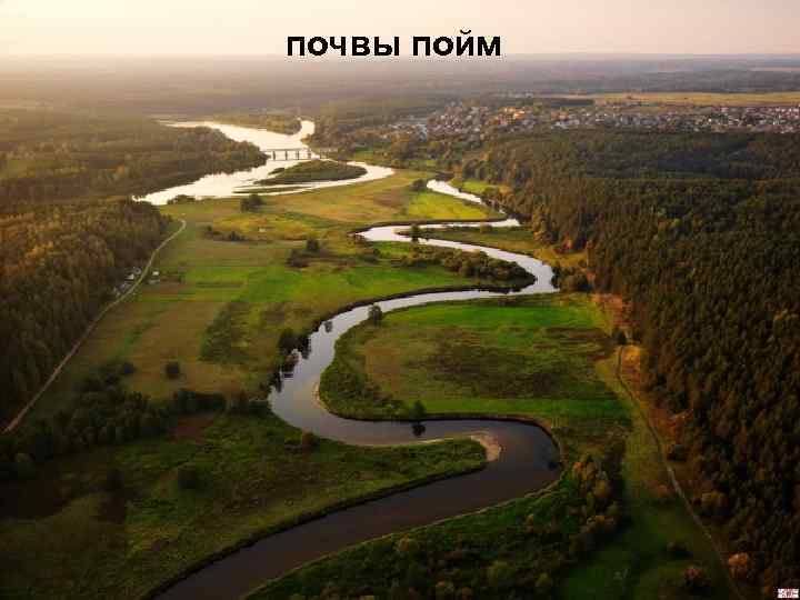 почвы пойм 