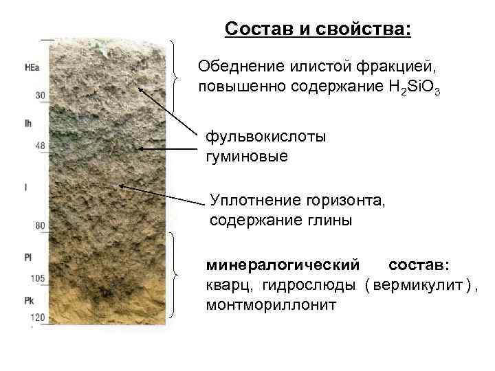   Состав и свойства: Обеднение илистой фракцией, повышенно содержание H 2 Si. O