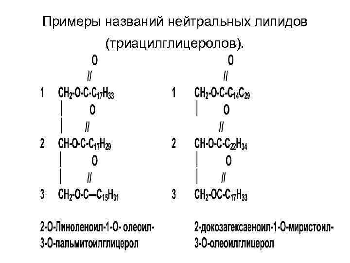 Примеры названий нейтральных липидов (триацилглицеролов). Примеры названий нейтральных липидов (триацилглицеролов).
