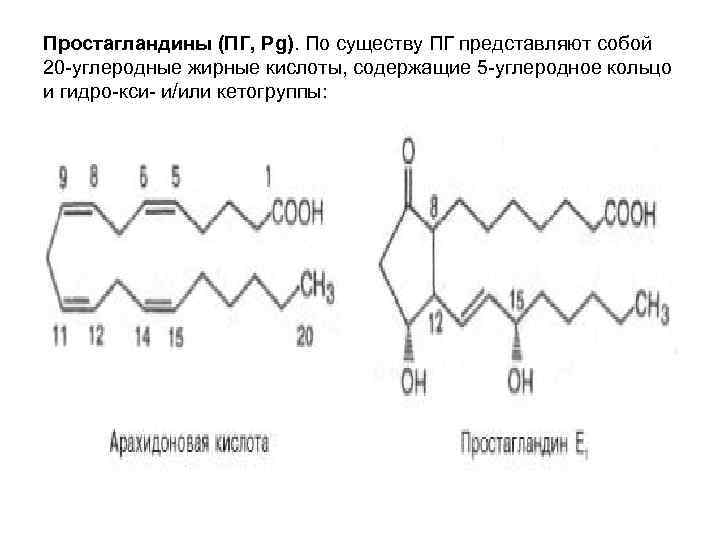 Простагландины (ПГ, Pg). По существу ПГ представляют собой 20 -углеродные жирные кислоты, содержащие 5 Простагландины (ПГ, Pg). По существу ПГ представляют собой 20 -углеродные жирные кислоты, содержащие 5