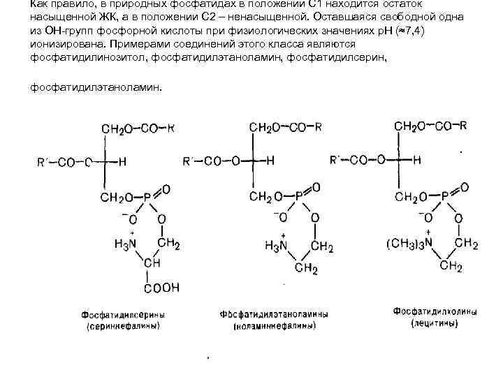 Как правило, в природных фосфатидах в положении С 1 находится остаток насыщенной ЖК, а Как правило, в природных фосфатидах в положении С 1 находится остаток насыщенной ЖК, а