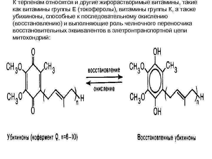 К терпенам относятся и другие жирорастворимые витамины, такие как витамины группы Е (токоферолы), витамины К терпенам относятся и другие жирорастворимые витамины, такие как витамины группы Е (токоферолы), витамины