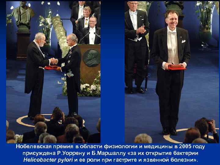 Нобелевская премия в области физиологии и медицины в 2005 году присуждена Р. Уоррену Нобелевская премия в области физиологии и медицины в 2005 году присуждена Р. Уоррену