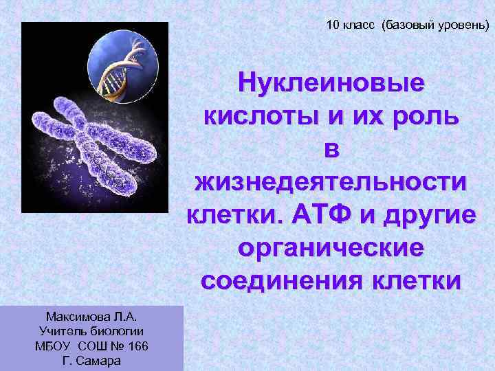      10 класс (базовый уровень)     