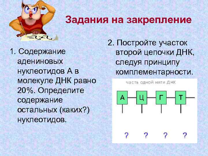    Задания на закрепление     2. Постройте участок 1.
