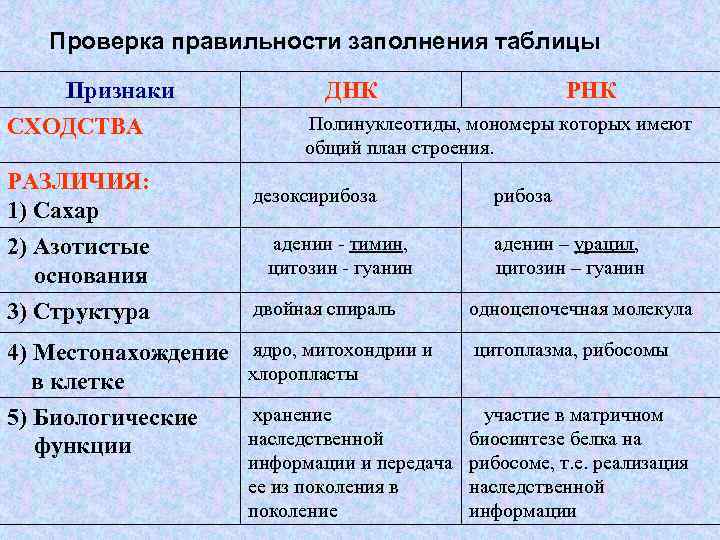  Проверка  правильности заполнения таблицы Признаки   ДНК    РНК
