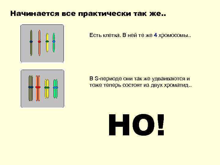 Начинается все практически так же. .    Есть клетка. В ней те