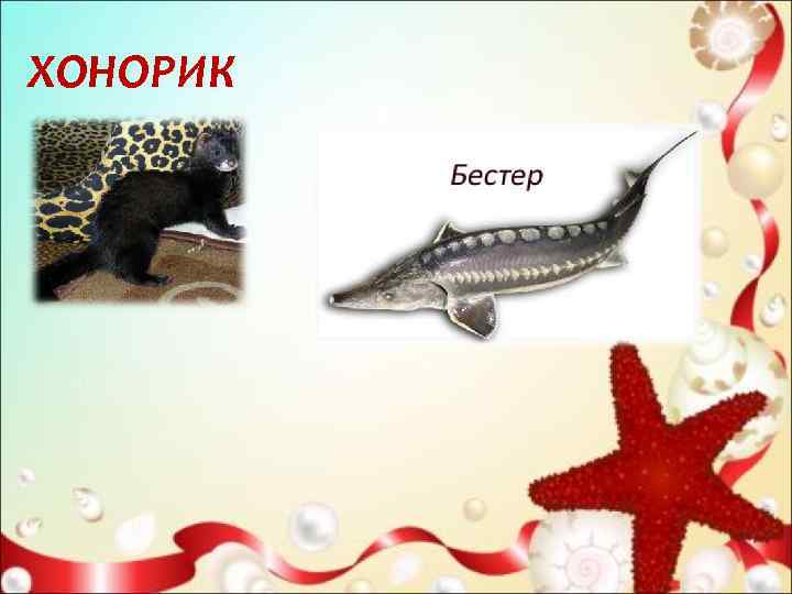 ХОНОРИК 