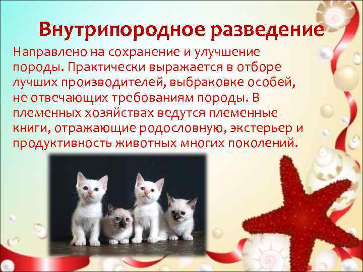  Внутрипородное разведение  Направлено на сохранение и улучшение породы. Практически выражается в отборе