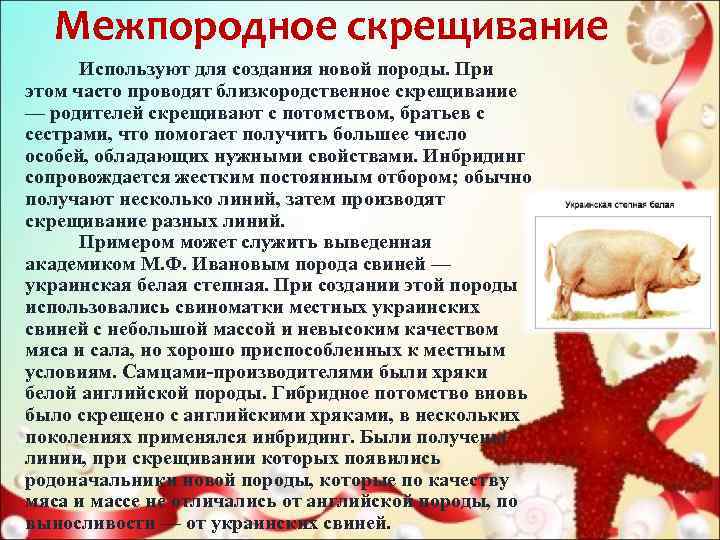   Межпородное скрещивание  Используют для создания новой породы. При этом часто проводят