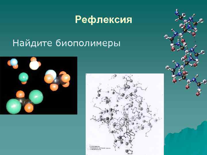    Рефлексия Найдите биополимеры 