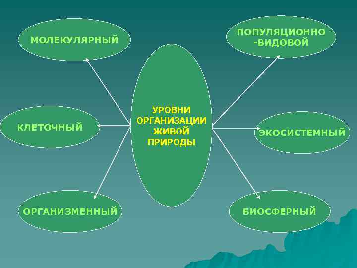 Особенности популяционно видового уровня жизни 10 класс биология презентация пономарева