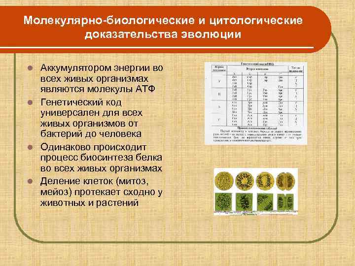 Субкомпенсация на резидуально органическом фоне