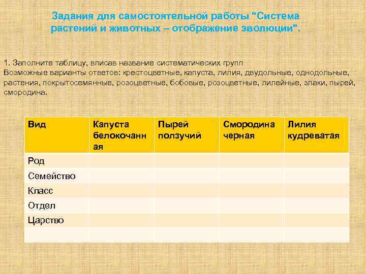   Задания для самостоятельной работы 